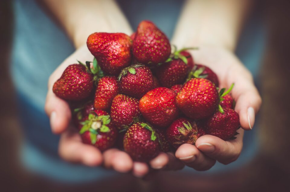 A person holding a handful of strawberries