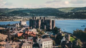 An overview of mountain ash in Wales