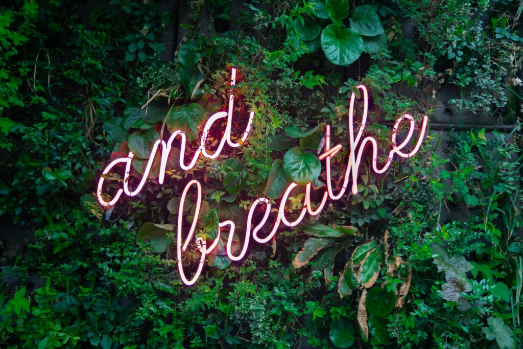 an and breathe neon sign in the wall with leaves around it 