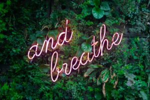 an and breathe neon sign in the wall with leaves around it