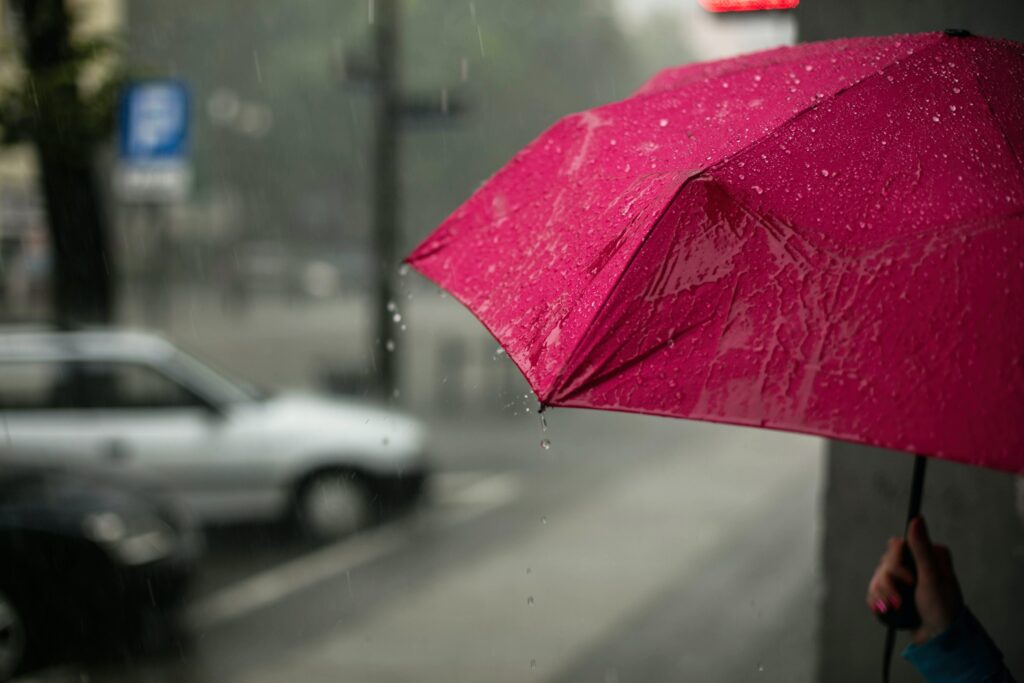A pink umbrella whilst its raining 