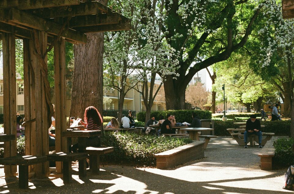 People sitting outside a university campus studying