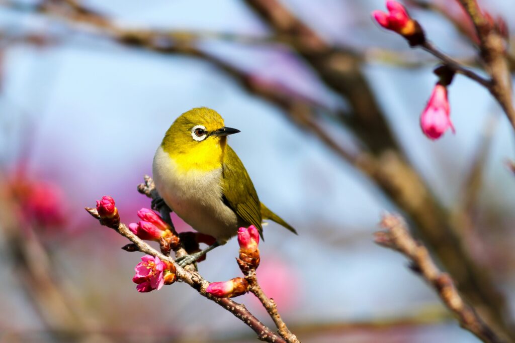 A bird standing on a tree branch.