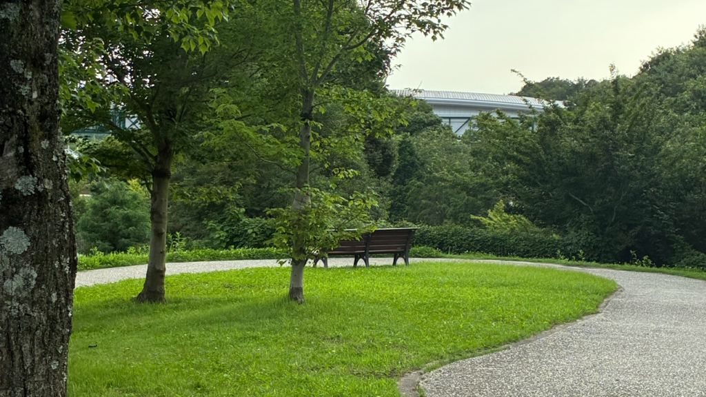 Studio Ghibli Park bench – International Students House – international students house studio ghibli park bench